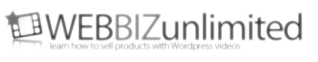 Web Biz Unlimited